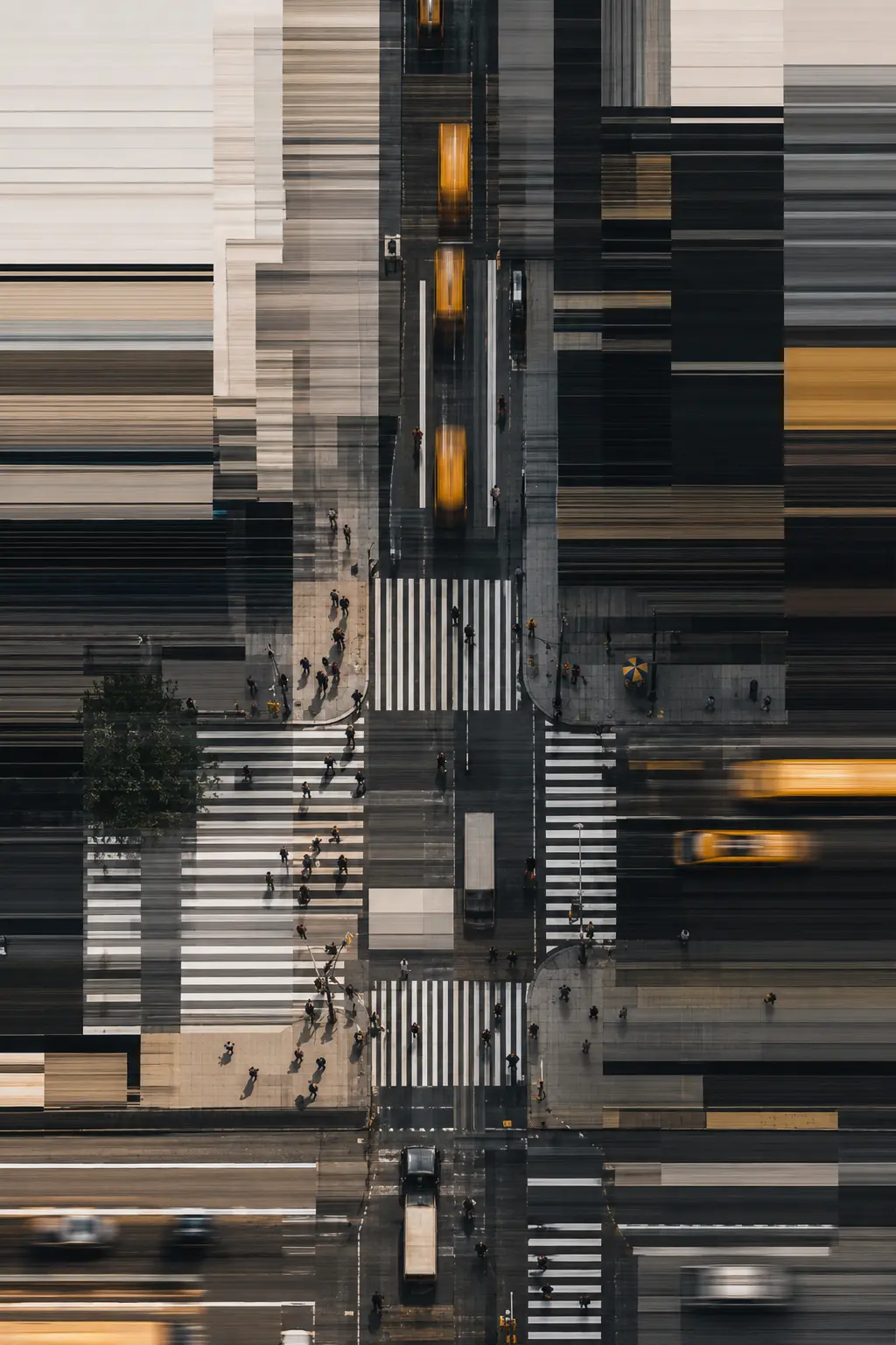 New York Study 2