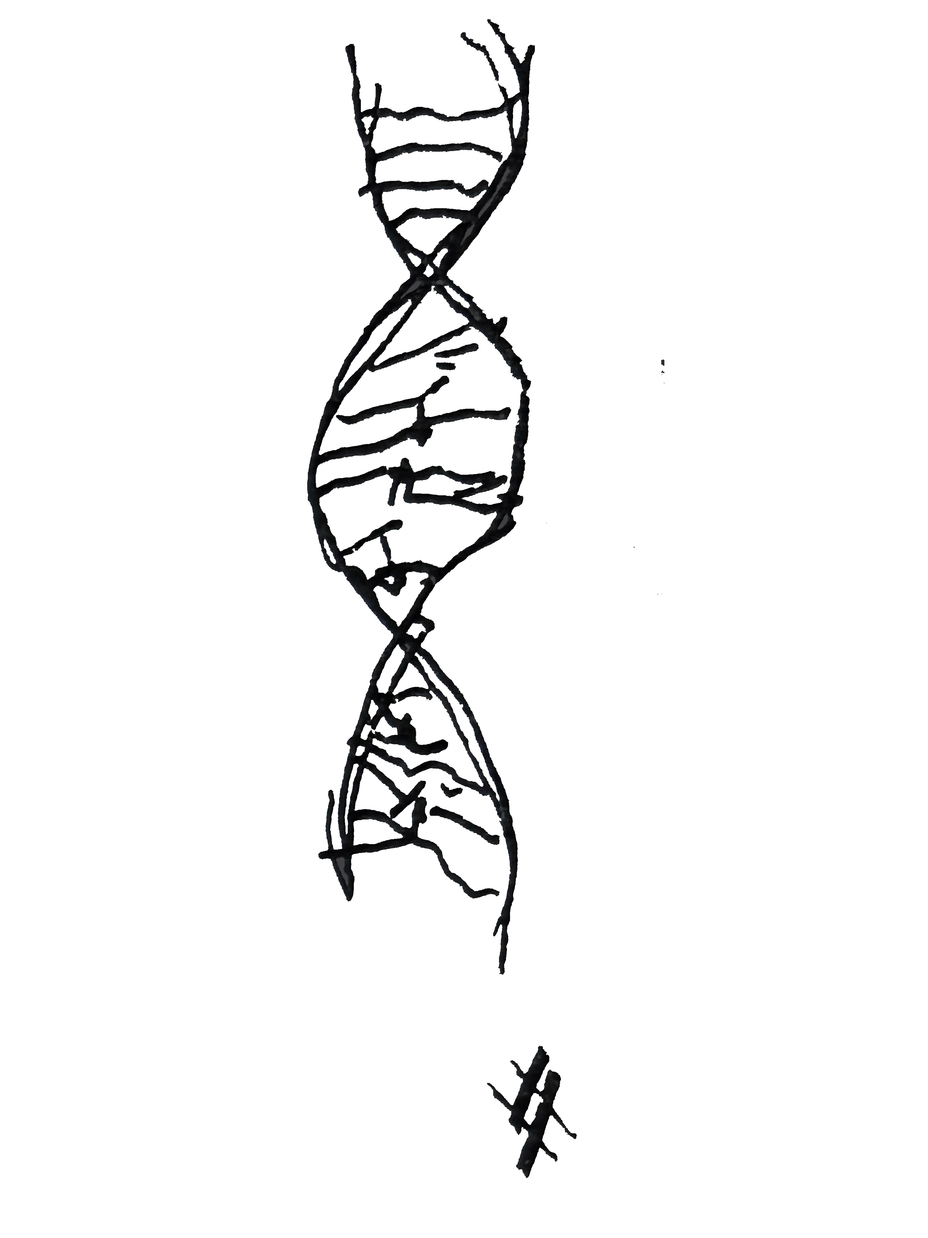 Symbol 2